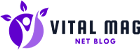 the vital mag net blog