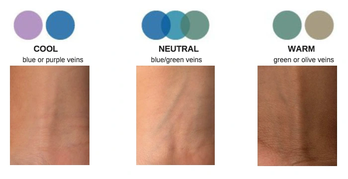 Skin Undertone Blue vs Green Veins on Wrist: Identify Yours 4 The Wrist Vein Color Test
