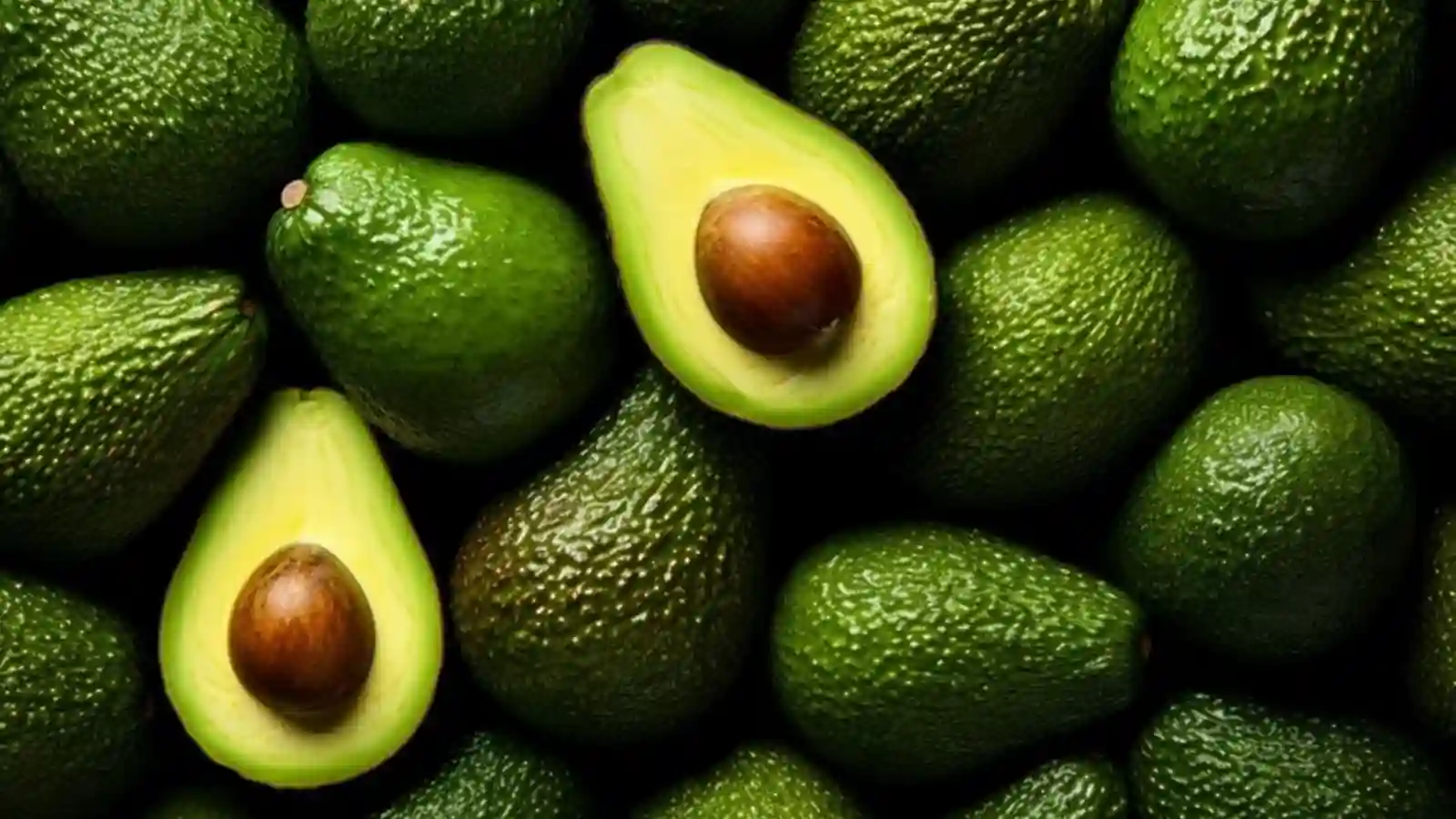 Avocado