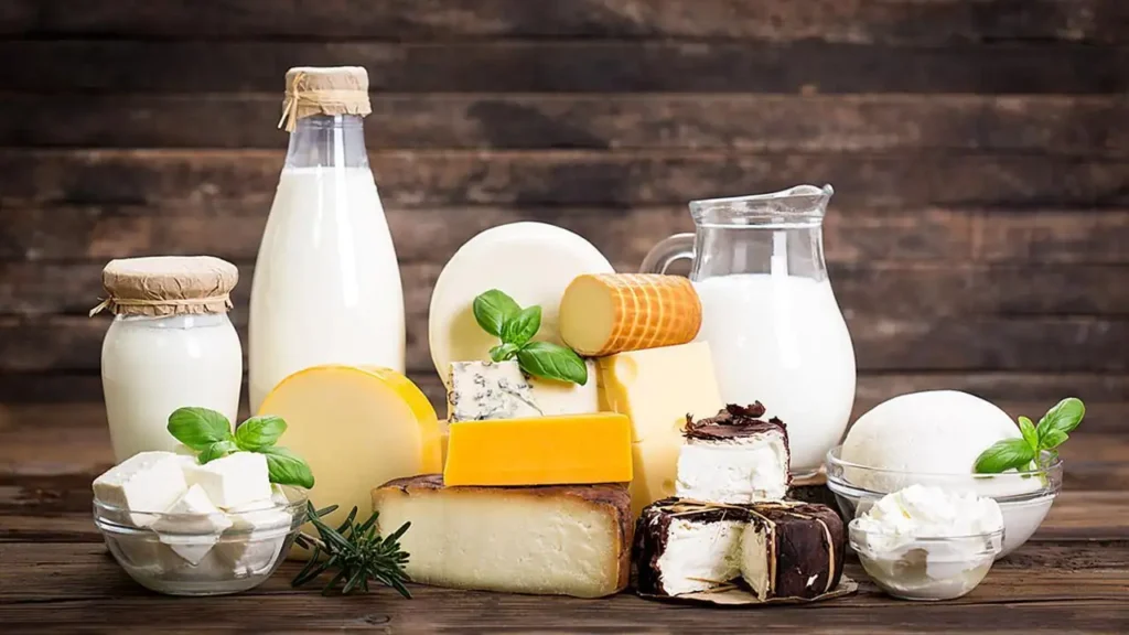 Dairy Products