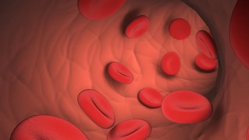 Sudden Bulging Veins in Hands With Pain: 10 causes 4 How Blood Moves Through Veins The Return Trip to the Heart