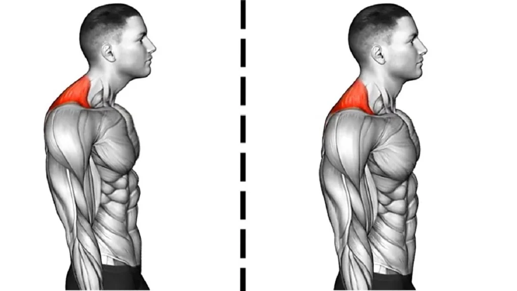 Why Does My Jaw Keep Locking? 12 Causes & Fixes 9 Poor Posture Tech Neck Alignment Issues