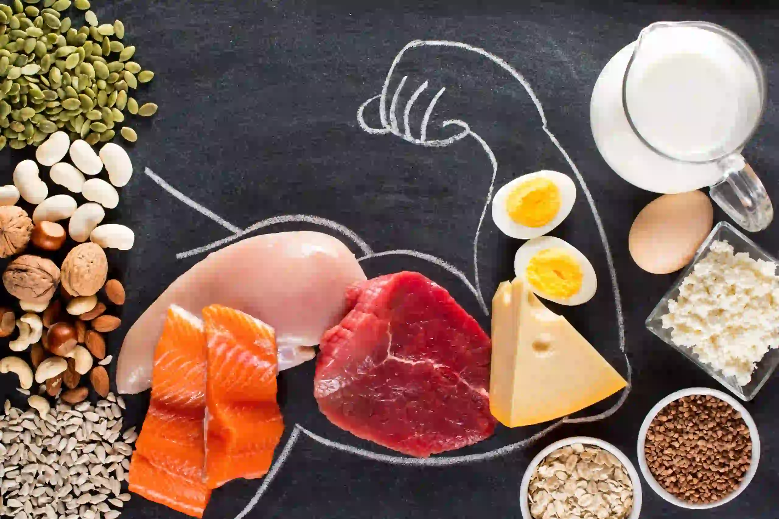 How Long Can Someone Live Without Food? 13 Key Facts 5 Protein Breakdown Muscle Loss 1–3 weeks