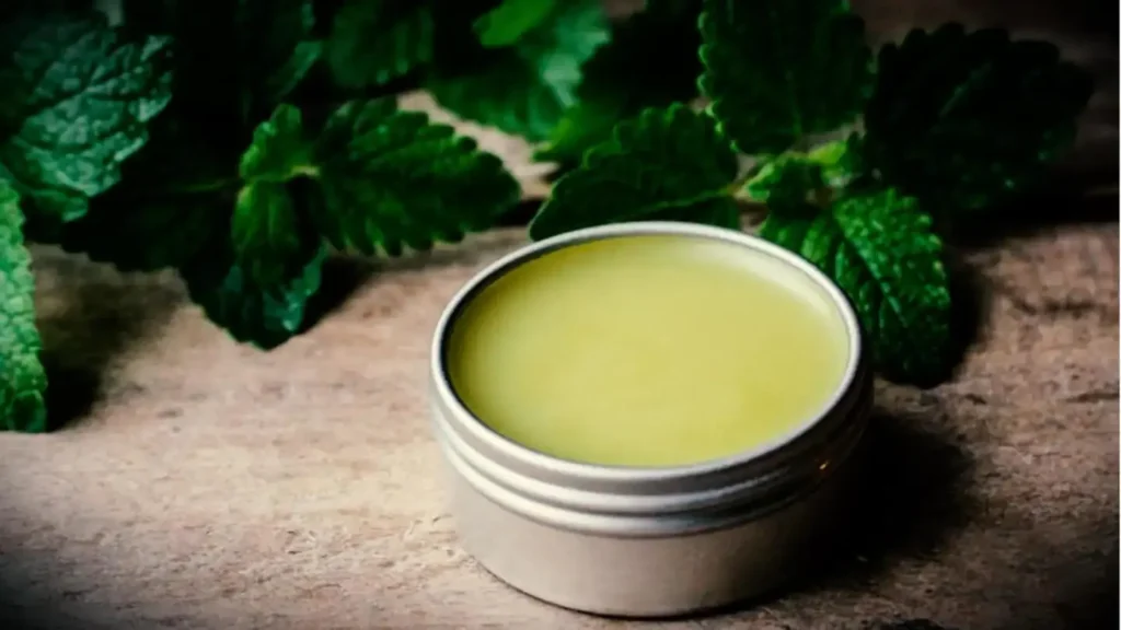 10 Fast Ways to Heal a Cold Sore Corner of Mouth 7 Try Lemon Balm — Natures Antiviral Secret