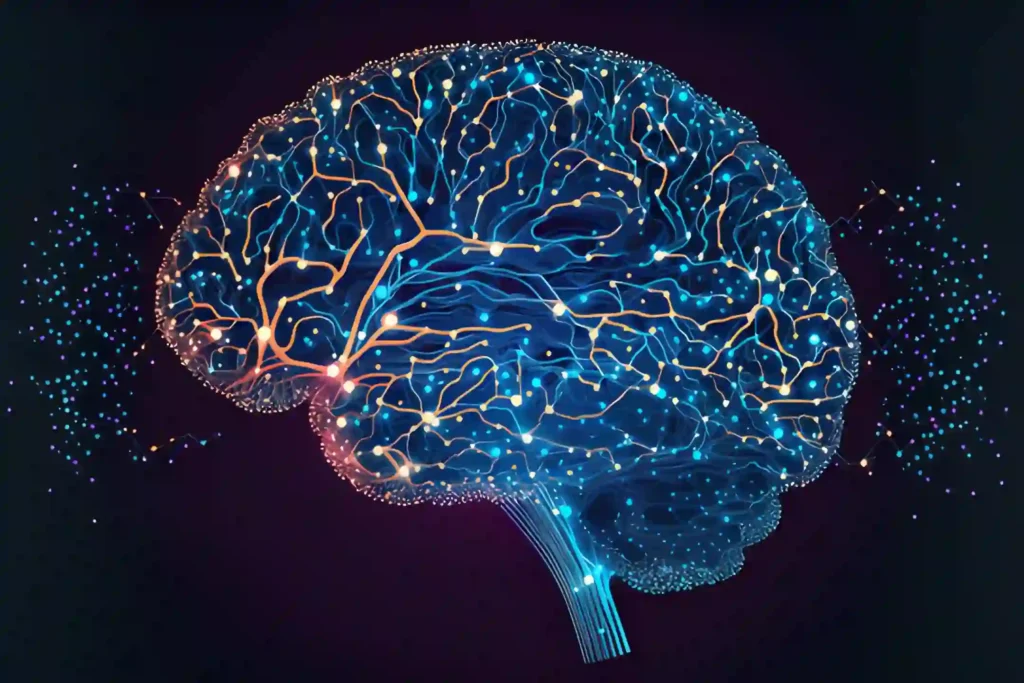 15 Interesting Facts About the Nervous System 4 Your Brain Has More Connections Than the Milky Way Has Stars