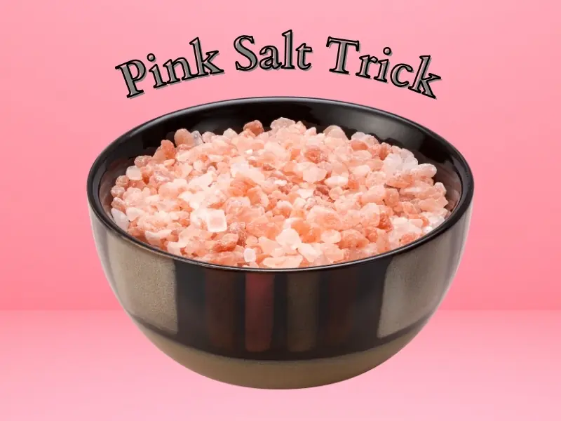 Pink Salt Trick Recipe for Weight Loss (Step-by-Step 2026 Guide)